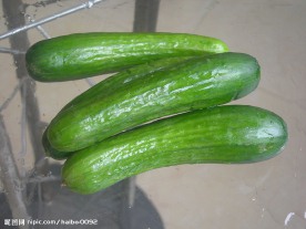 小黄瓜