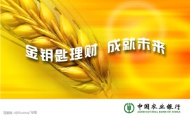 中国农业银行