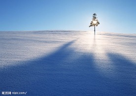 太阳光