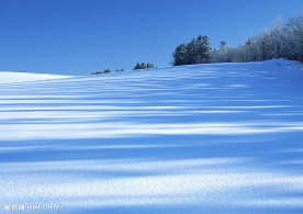雪地
