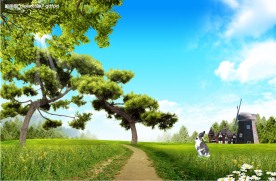 野外风景