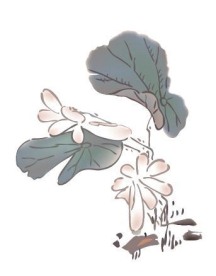 水墨画荷花