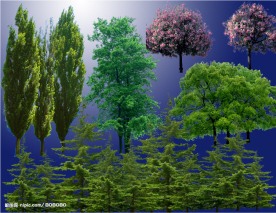 PS后期各种双棵植物分层(系列四)