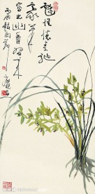 兰花