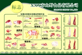 猪肉分割图展板