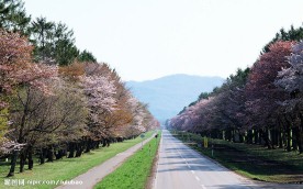 日本北海道旅游风景