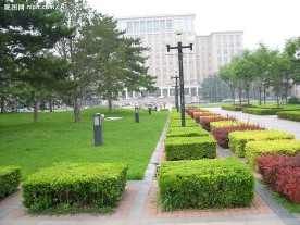 绿树碧草