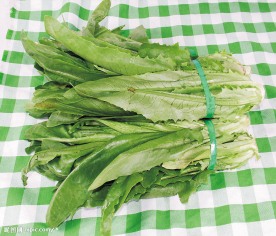 油麦菜