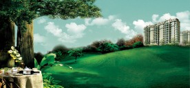 桌子 草地 蓝天 红酒