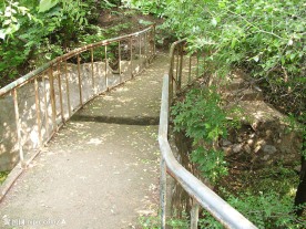 蜿蜒小路