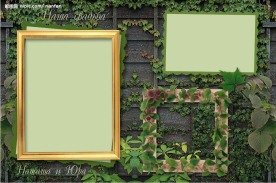 精美鲜花相框模板