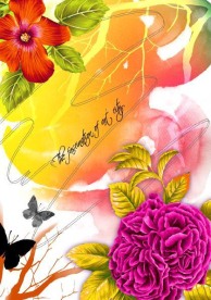 韩国花纹设计