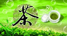 春茶