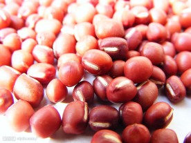 红豆