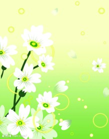 衣柜门  移门