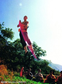 少林武术
