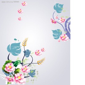 山茶花