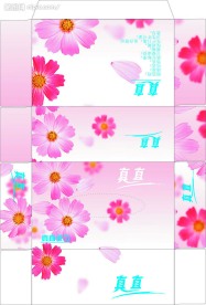 纸盒包装