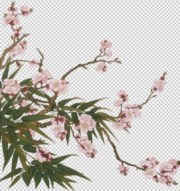 桃花抠图