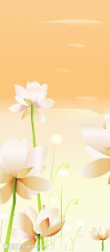 夏日睡莲A 移门 强化