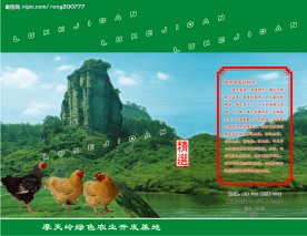 鸡蛋包装盒