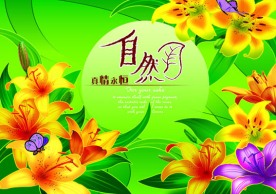 兰花