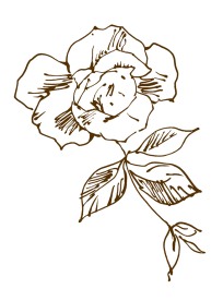 PSD 分层花纹