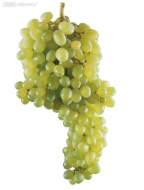 水晶葡萄
