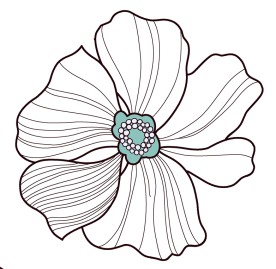 psd 分层花纹