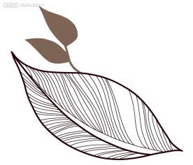 psd 分层花纹
