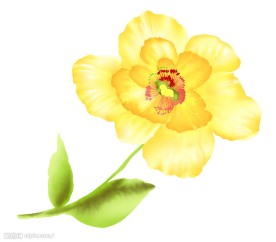 psd 分层花纹
