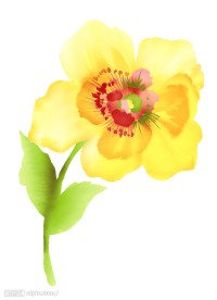 psd 分层花纹