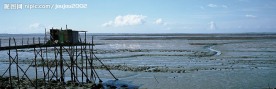 沼泽