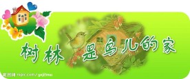 校园文化展板－－－树林是鸟儿的家