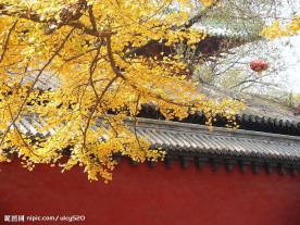 少林寺风景