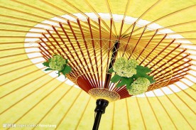 花与伞