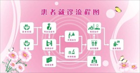 患者就诊流程