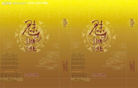 魅力武汉手提袋