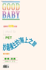 封面模板荟萃