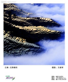 云南元阳梯田
