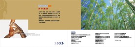 广告公司画册模板