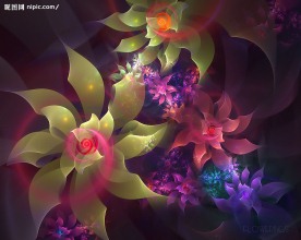 梦幻花朵