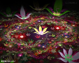 梦幻花朵