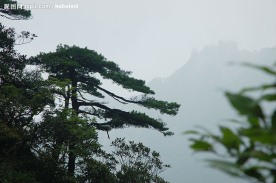 江西三青山风光