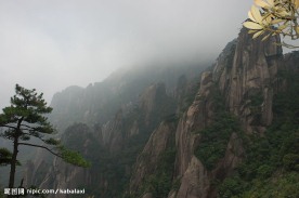 江西三青山风光