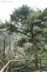 江西三青山风光