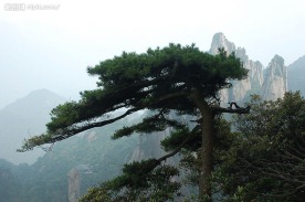 江西三青山风光
