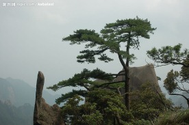 江西三青山风光