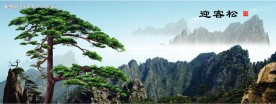 迎客松