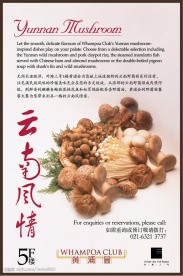 美食海报